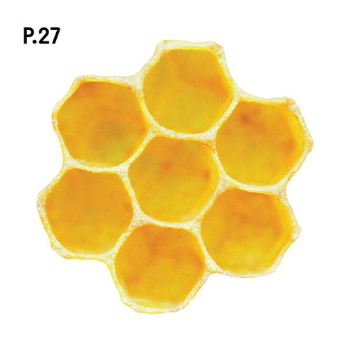 Přírodopis_motiv27.jpg Přírodopis_motiv27.jpg